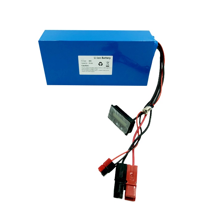  48V 21Ah Lithium ion battery for e-bike e-scooter e-wheelchair E-mobility