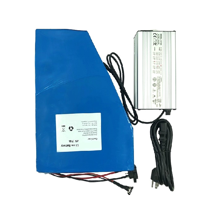 Customized Lithium ion battery 48V 25Ah  for e-bike e-scooter e-mobility