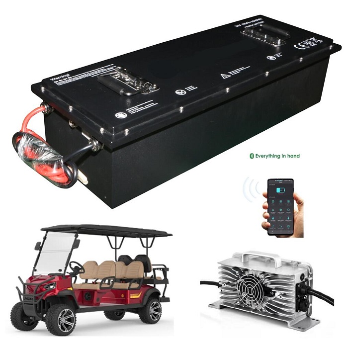 Golf cart battery lifepo4 48v 100ah 5 years 10 years warranty