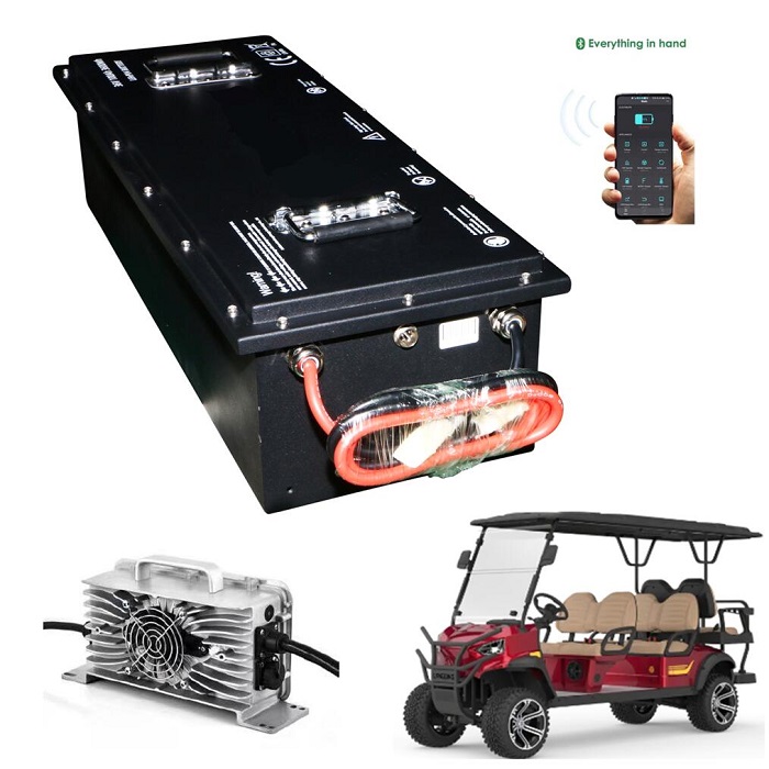 Golf cart battery lifepo4 48v 160ah with charger 5 years 10 years warranty 